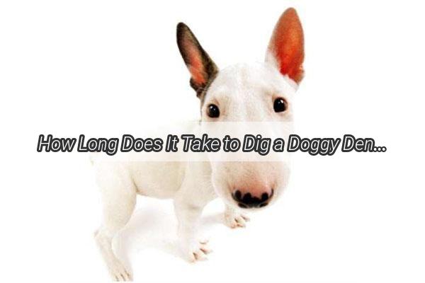 How Long Does It Take to Dig a Doggy Den Unearth the Secrets of Canine Burrow Building